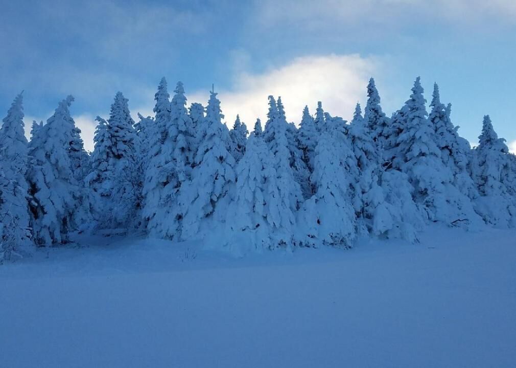 Vermont